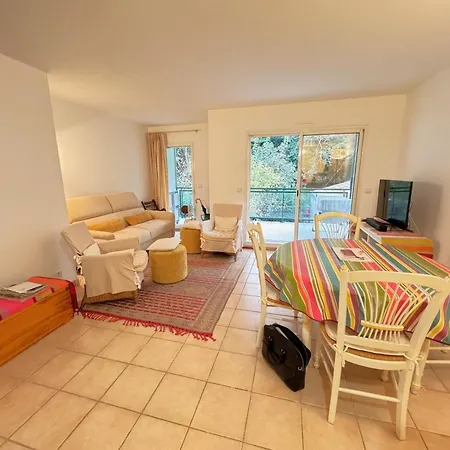 Apartment Charmant T2 Arcachon Proche Centre Et Plage, Terrasse, Garage - Fr-1-474-71 Arcachon